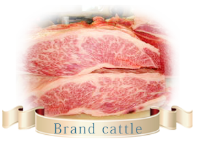 鳥吉のお肉 鳥吉のお肉 船橋市習志野台の精肉販売店 肉の店 鳥吉